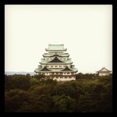 名古屋城です。