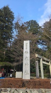 PhotoGrid_Plus_1769733060642