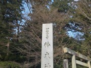 PhotoGrid_Plus_1769733060642