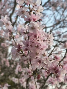 IMG_20260328_172118813_HDR_PORTRAIT