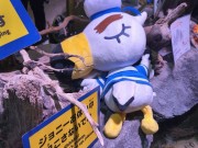 IMG_20260321_145004194_HDR