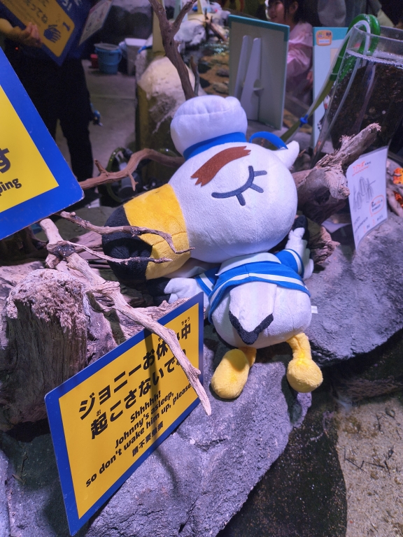 IMG_20260321_145004194_HDR